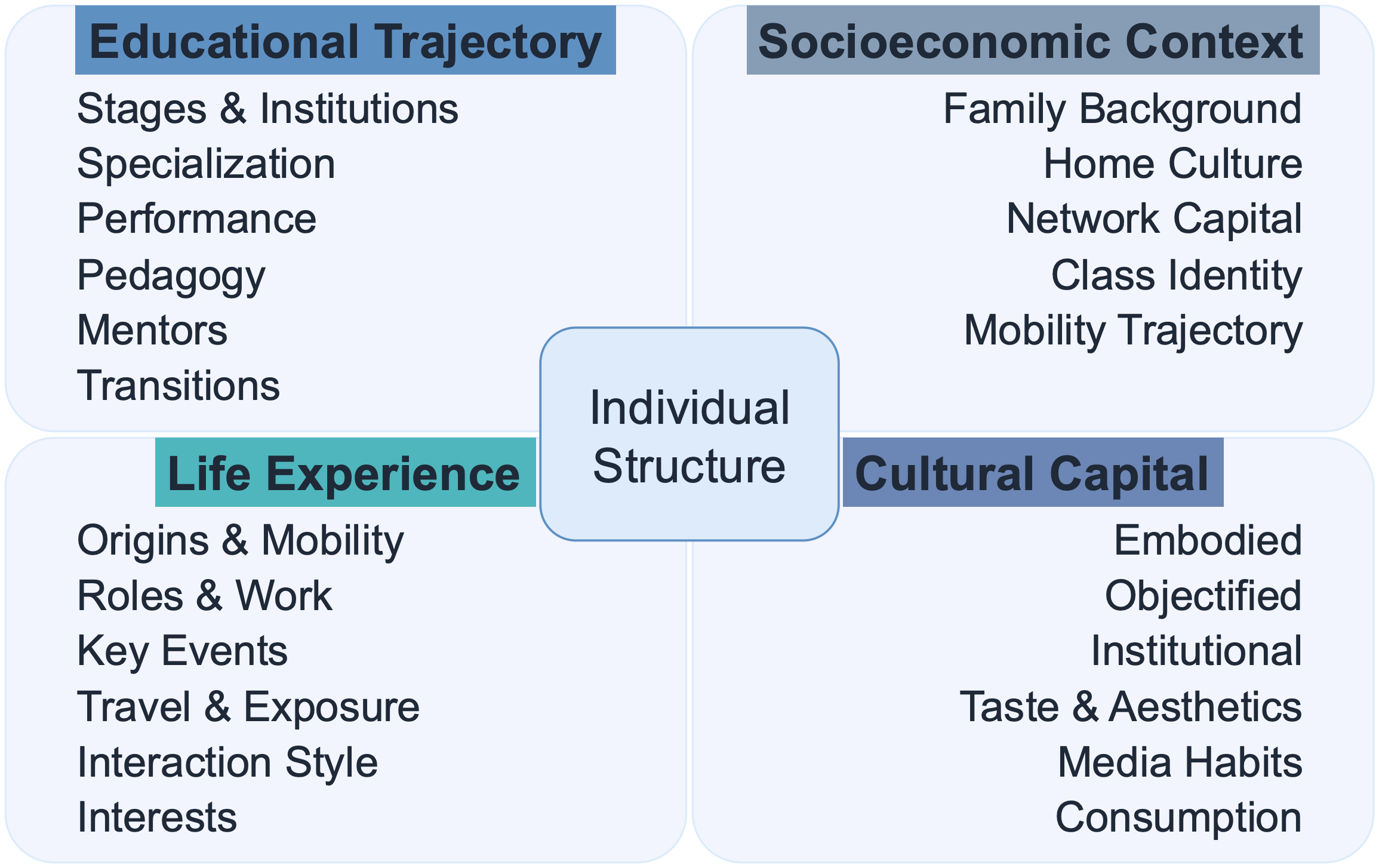 Figure 2: Individual Structure (IS)